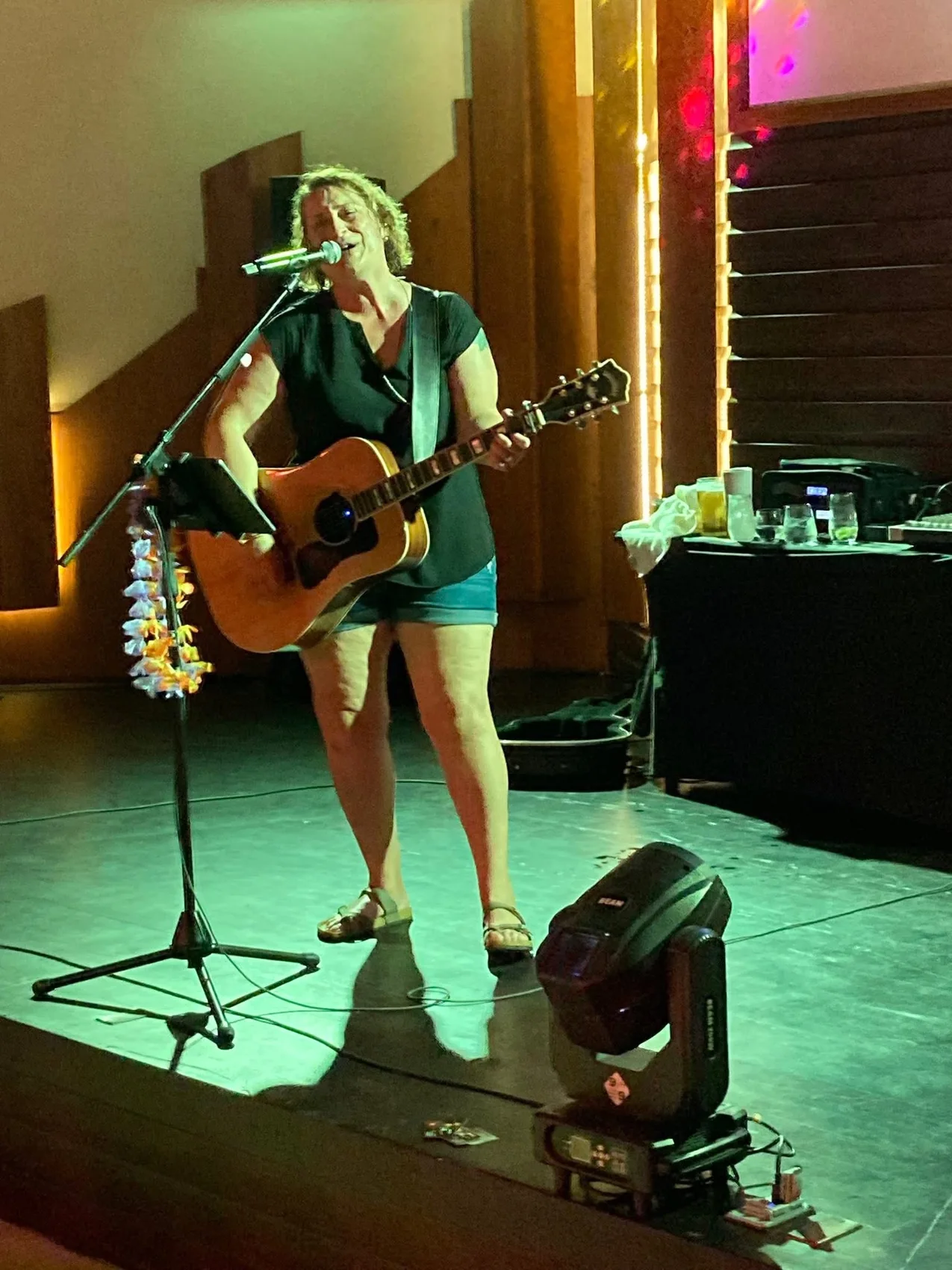 Lisa performing on stage with professional sound equipment
